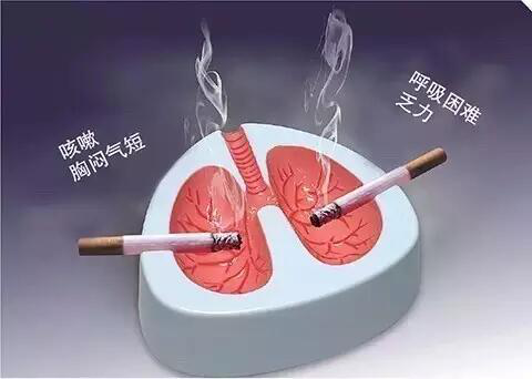 1-1P110092504B8.png